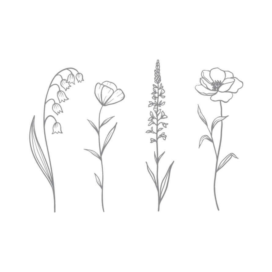 Wildflowers Vector Illustrations