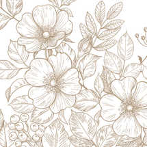 Wildflower Vector Illustration