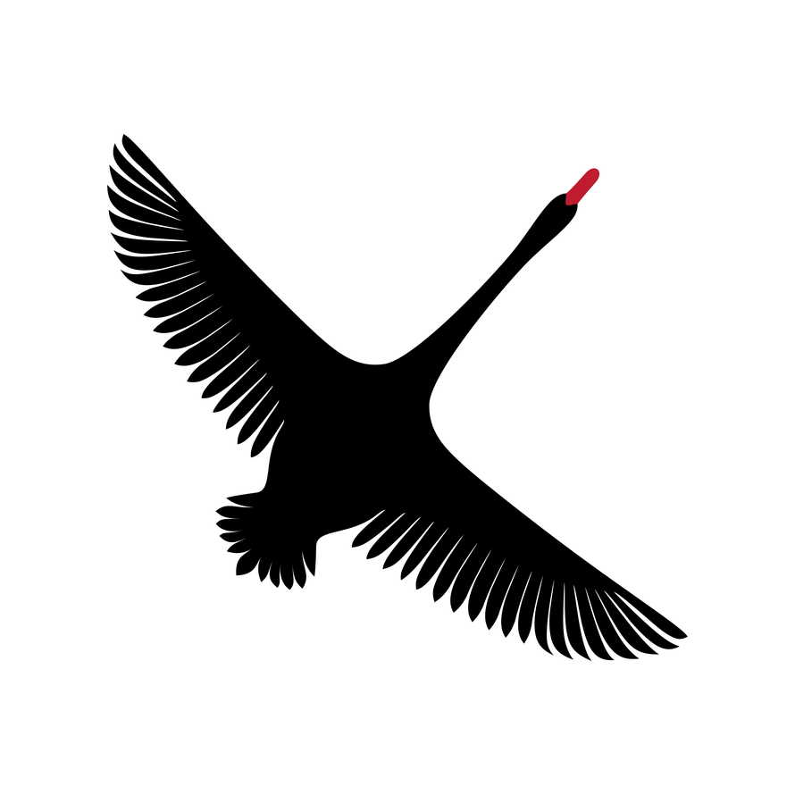 The silhouette of a black swan. Elegant vector logo and symbol of the noble bird.