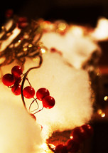Christmas lights, snow, red berries 