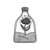 Doodle style illustration. A magic flower inside the bottle, hand-drawn