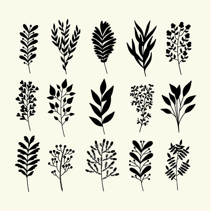 Set of hand drawn plant branches and leaves. Vector doodle style.