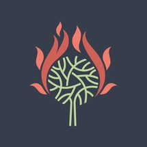A wonderful plant. The burning bush that the prophet Moses saw. Bible illustration.