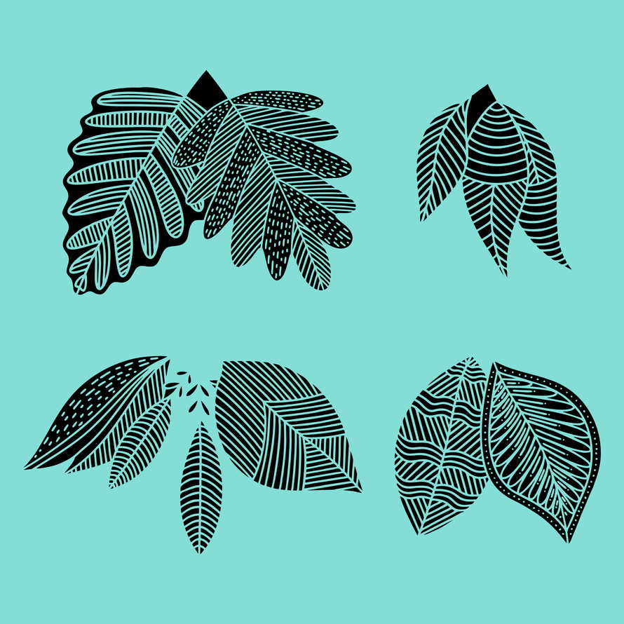 Set of hand drawn plant leaves. Vector doodle style.