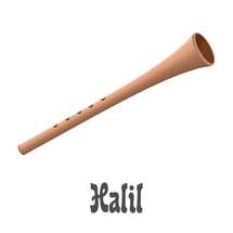 Musical Instruments in the Bible Series. HALIL - An ancient Jewish flute-like musical instrument used in worship.