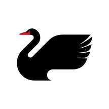 The silhouette of a black swan. Elegant vector logo and symbol of the noble bird.
