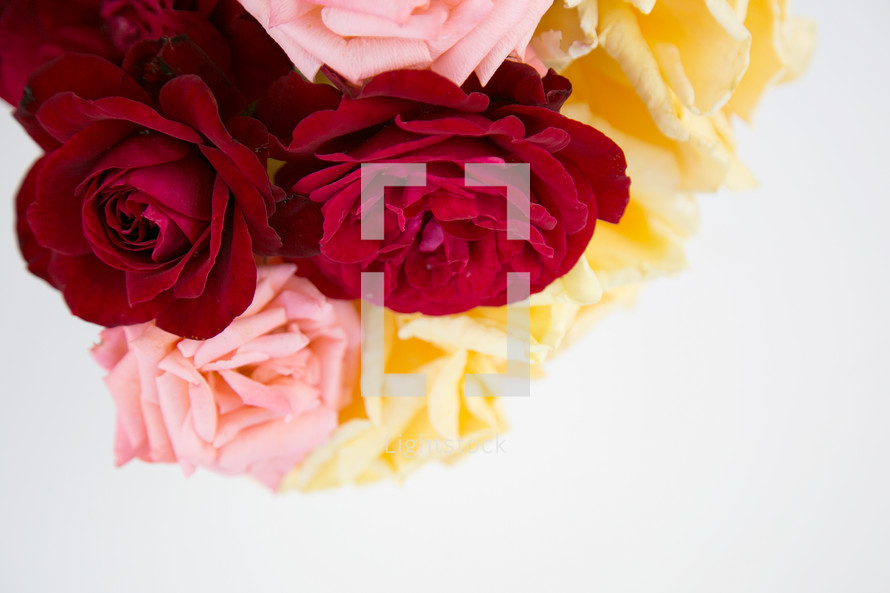 vase of colorful roses 