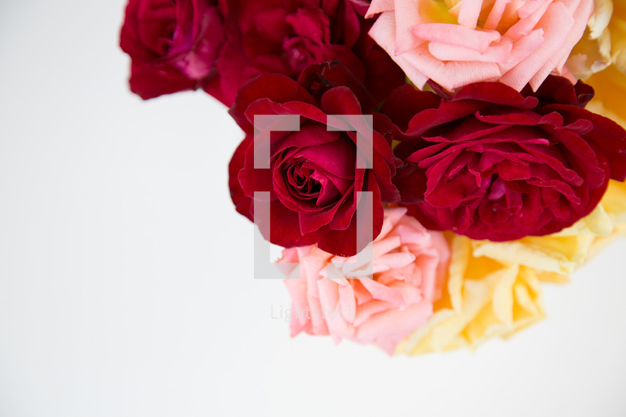 vase of colorful roses 