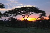 Ethiopian Sunrise