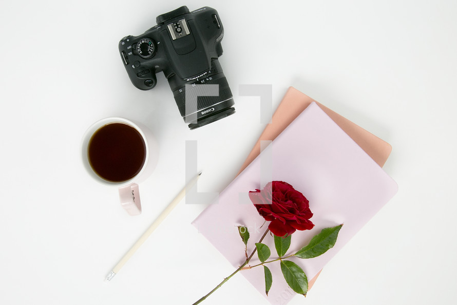 camera, red rose, mug, pencil, and paper on a white background 