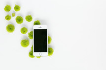 green mums and white cellphone on a white background 