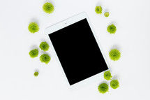 green mums and tablet on a white background 