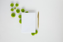 pen, envelope, and green mums on a white background 
