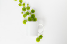 green mums and white mug on a white background 