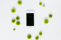 green mums and cellphone on a white background 