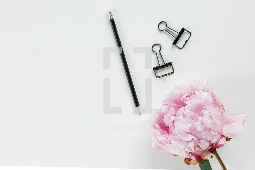 pencil, clips, and pink flower on a white background 