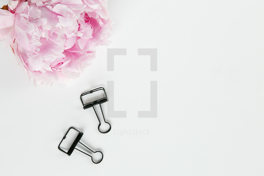 pink flower and clips on a white background 