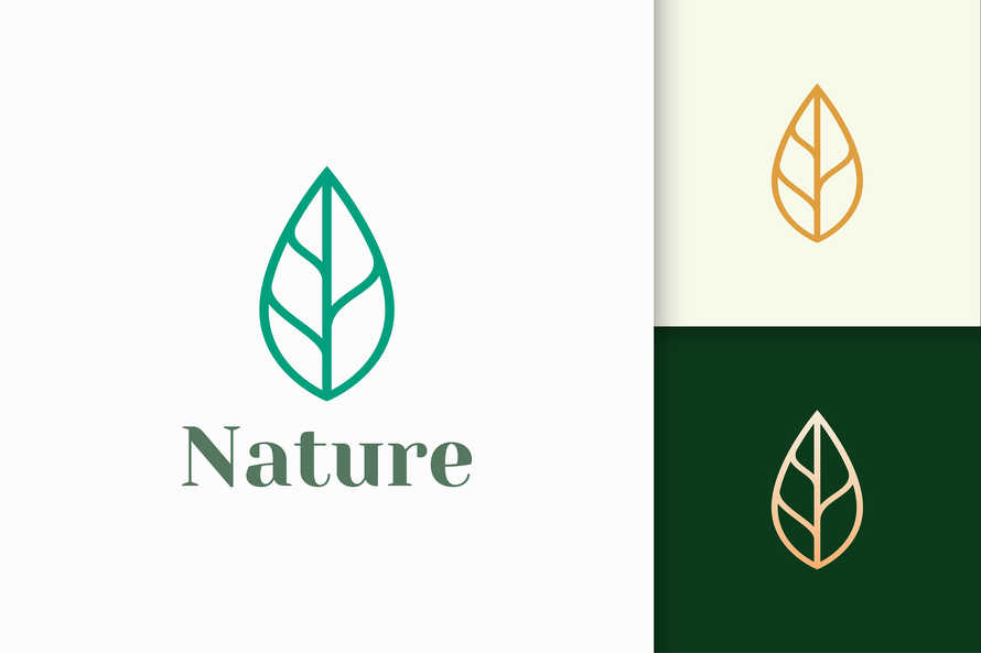 Leaf Logo in Simple Line Shape for Beauty and Health Brand
