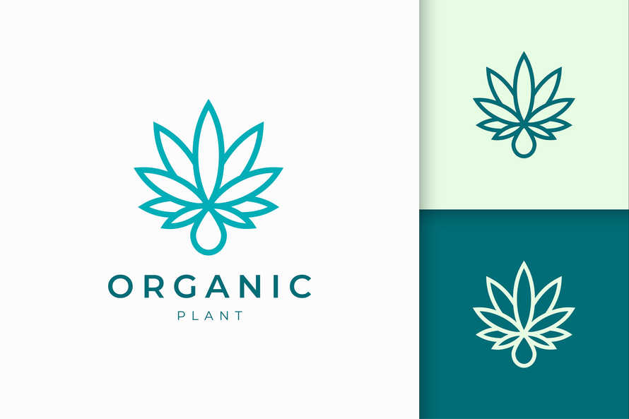 Cannabis Leaf and Oil Logo Template