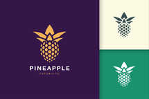 Pineapple Database or Technology Logo