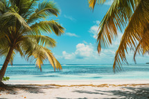 AI Generated Image. Summer vacation banner with beach and palms. Summer vacation concept