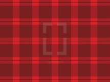 vector flannel background 