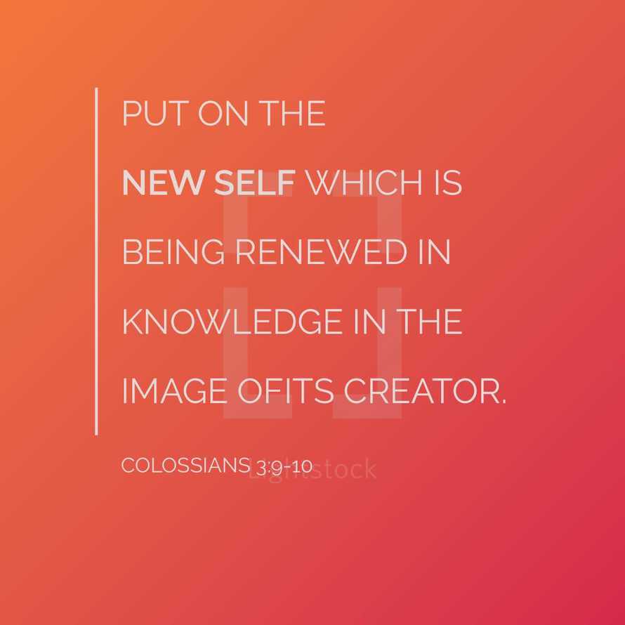 Put on the new self which is being renewed in knowledge, in the image of its Creator, Colossians 3:9-10