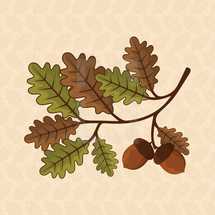 oak leaves 