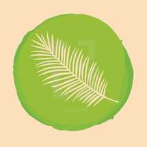 Palm frond illustration 