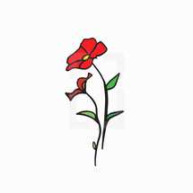 red flower illustration 