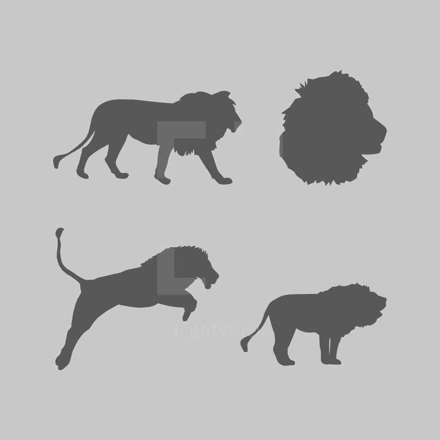 lion silhouettes.
