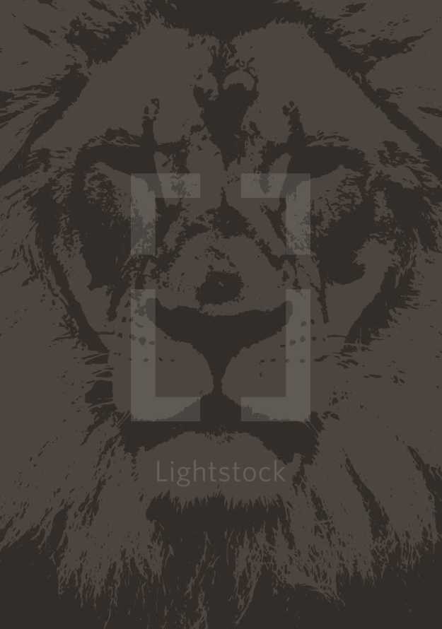 lion head vector illustration. 