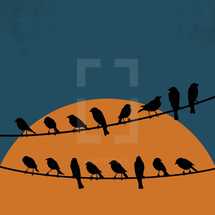 illustration of birds on a wire at sunset.