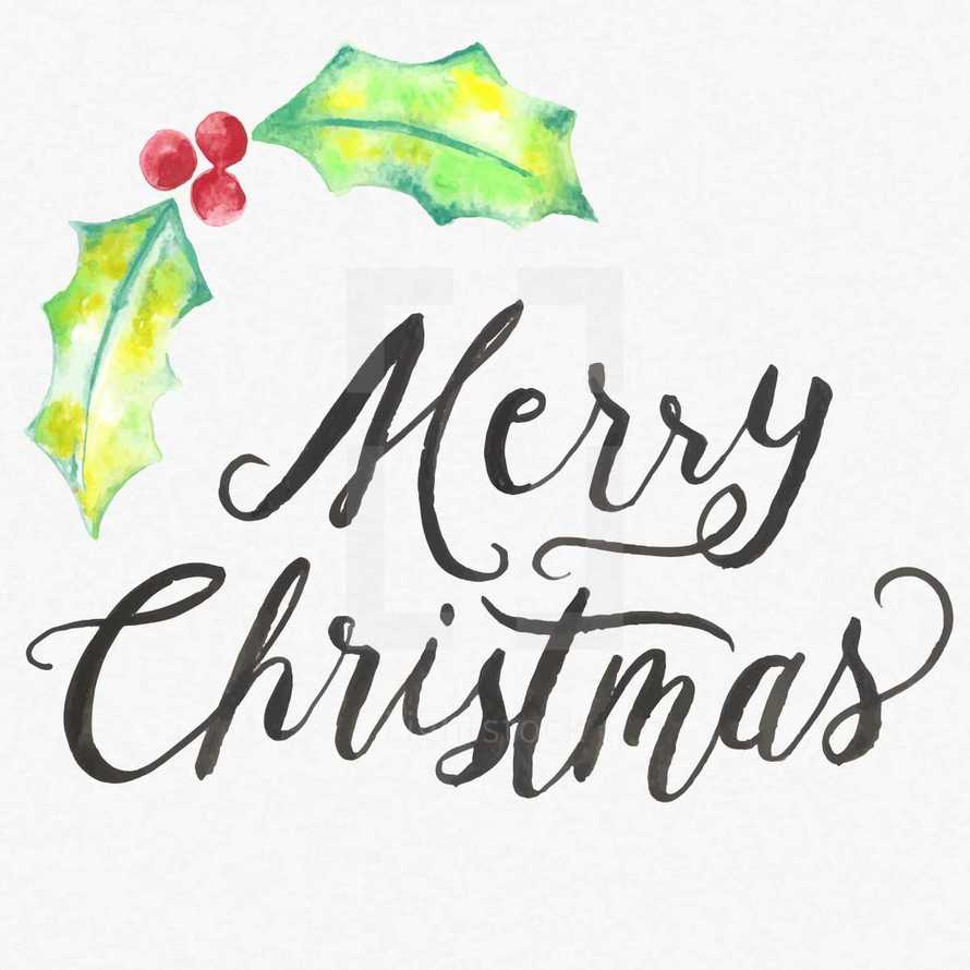 Water color Merry Christmas hand lettering  with holly and water color texture background.