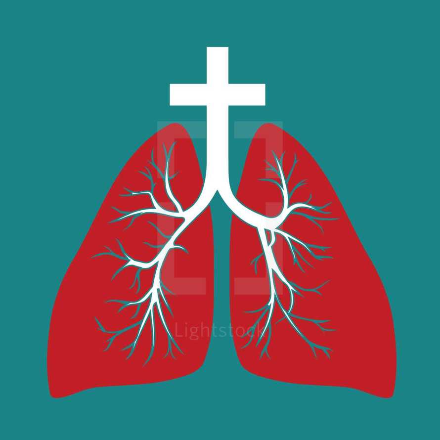 breathe, lungs, cross, icon