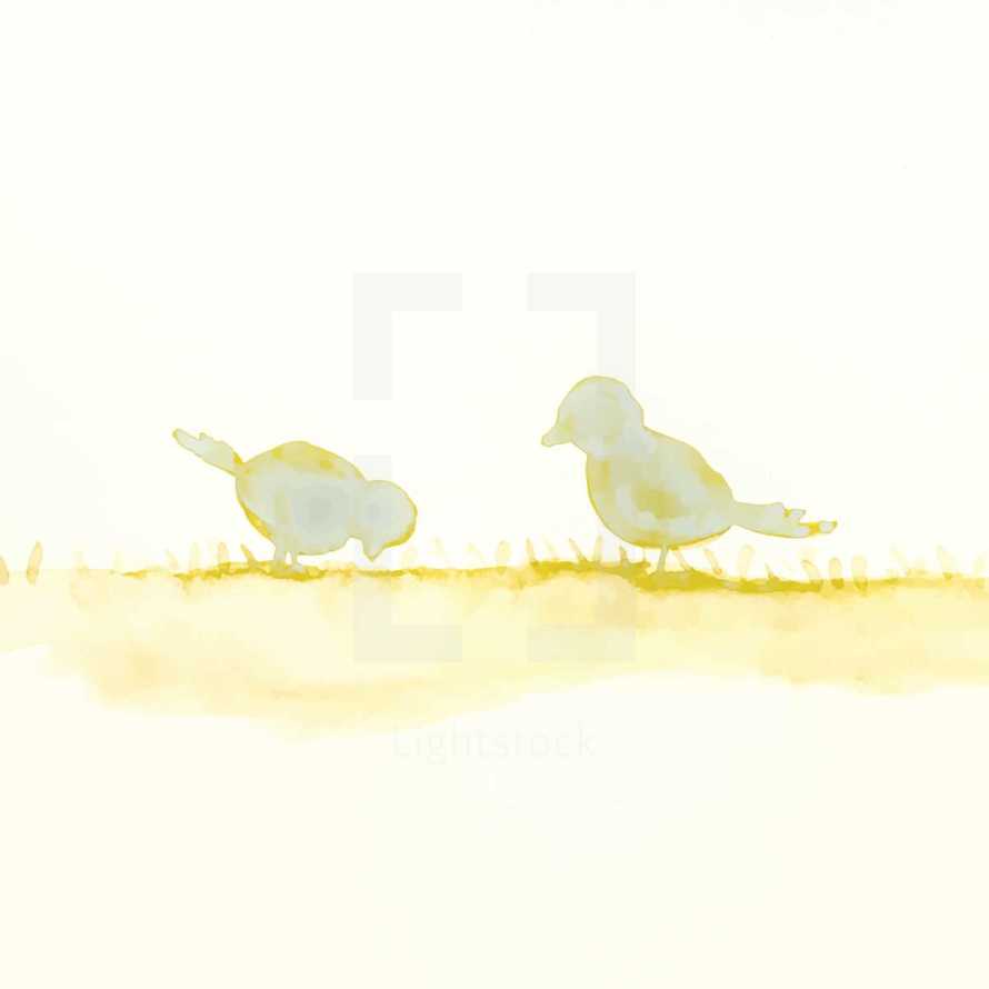 watercolor birds 