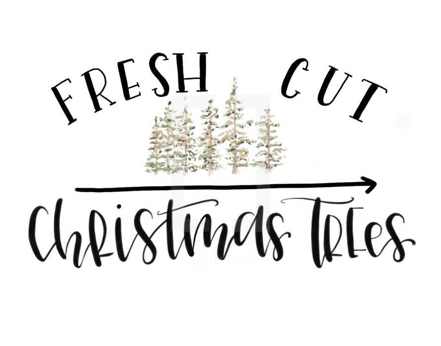 Fresh Cut Christmas trees 
