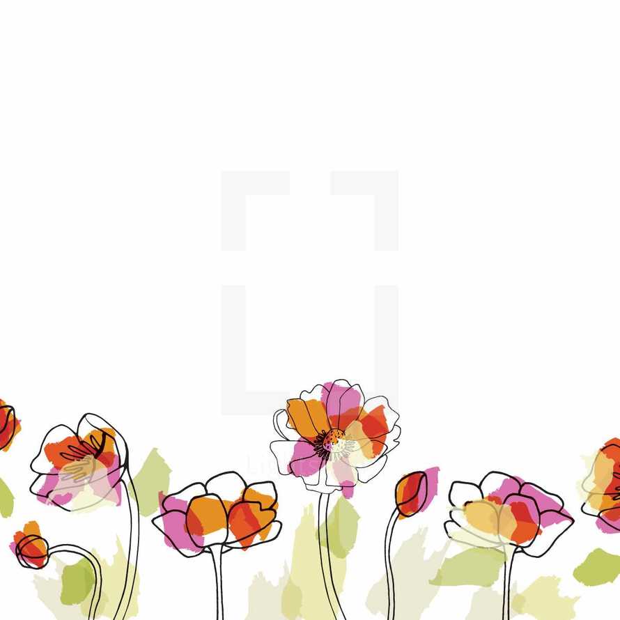 painted poppies flowers illustration.