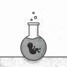 fetus in a flask.