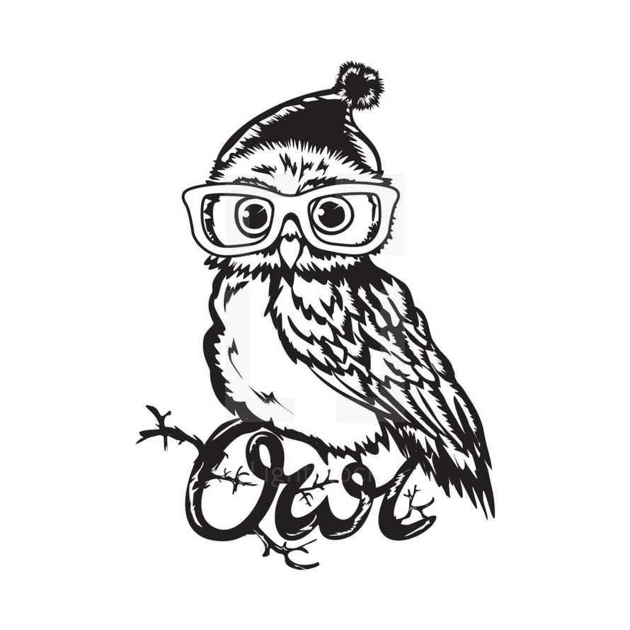 owl with glasses and a hat 