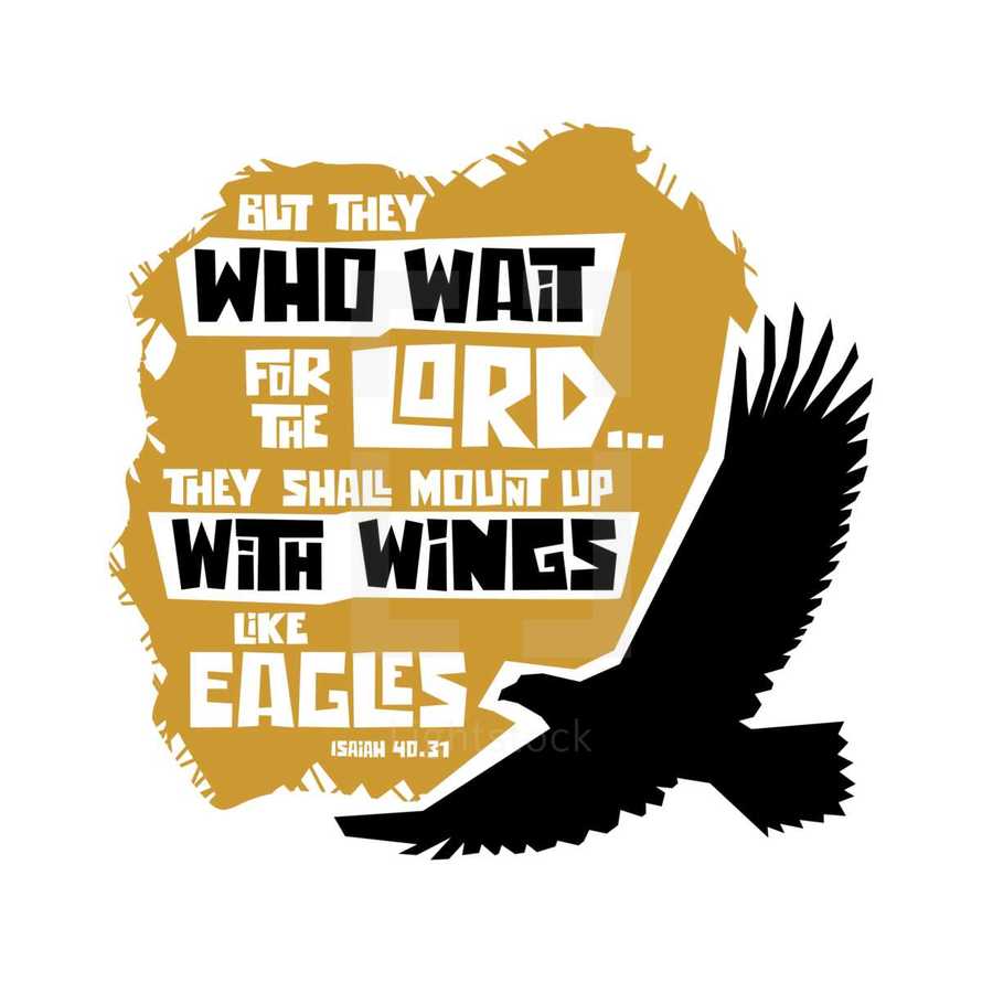 But they who wait for the Lord . . . they shall mount up with wings like eagles, Isaiah 40:31