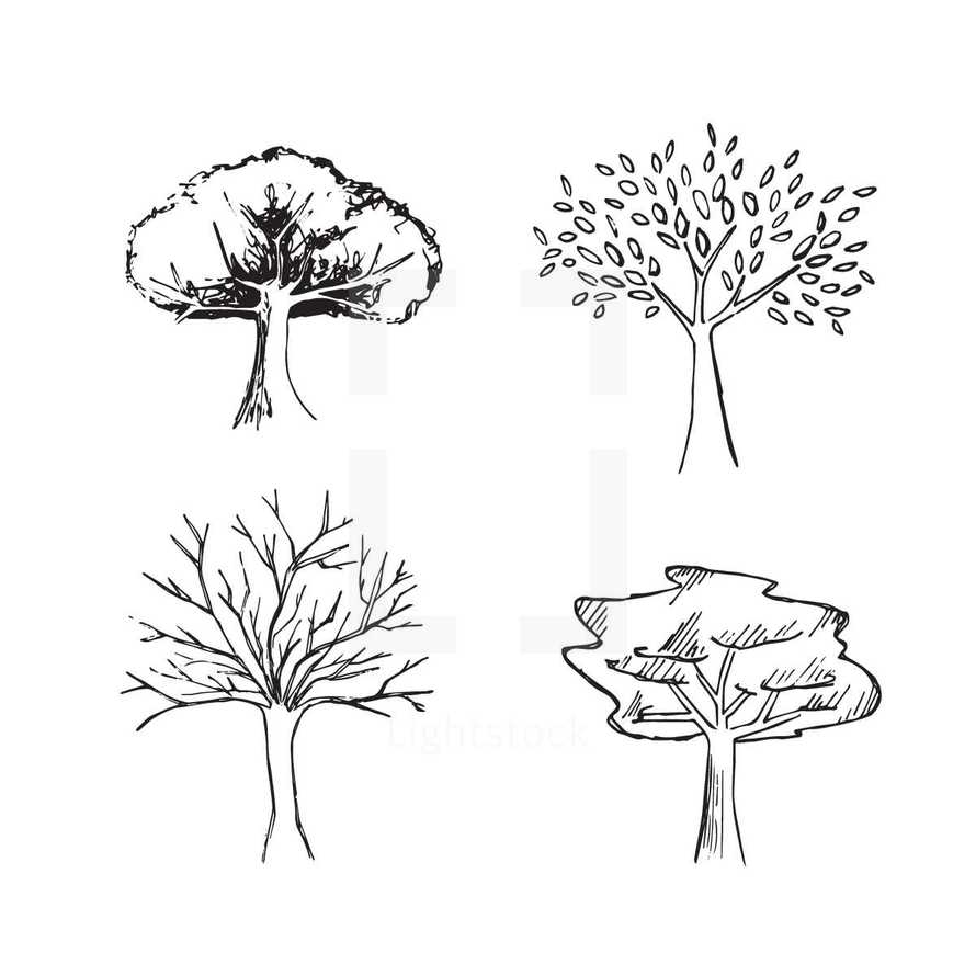 Hand drawn seasonal trees.
