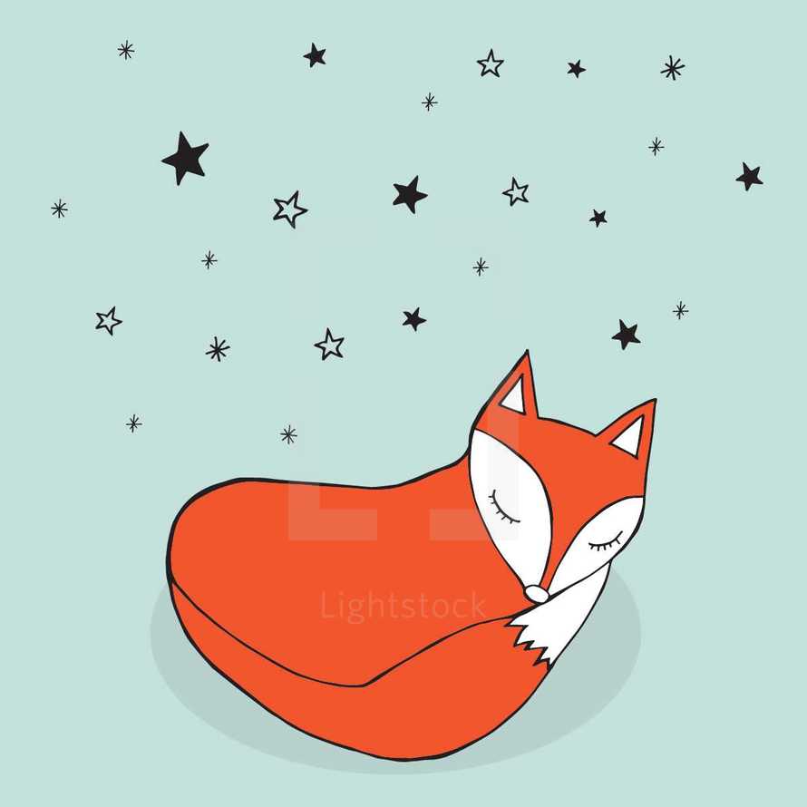 fox sleeping under the stars 