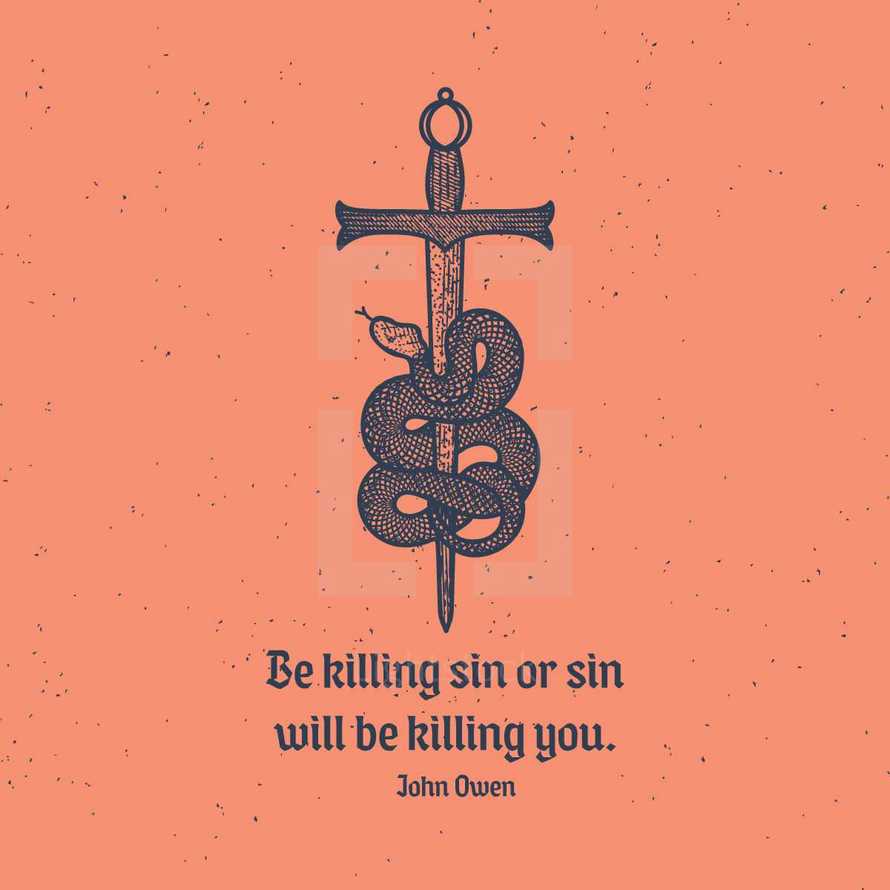 Be killing sin or sin will be killing you. John Owen 
