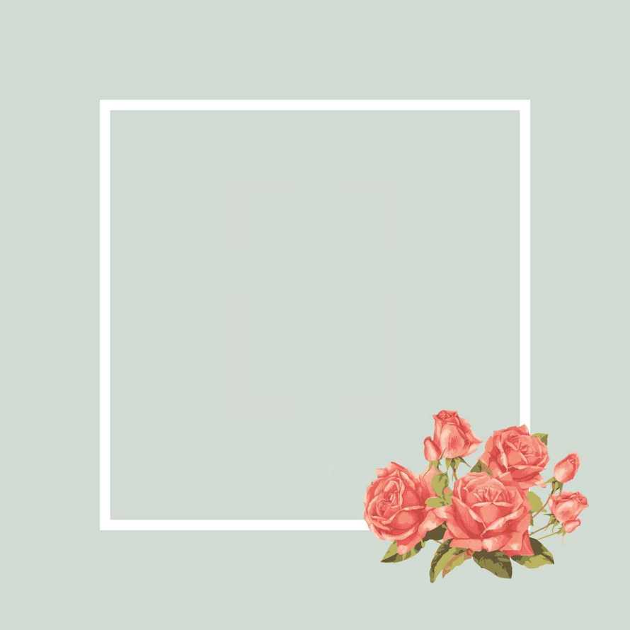 roses in the corner of a blank frame.