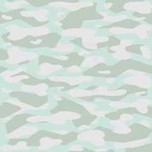 camouflage background 