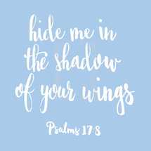 hide me in the shadow of your wings, Psalms 17:8