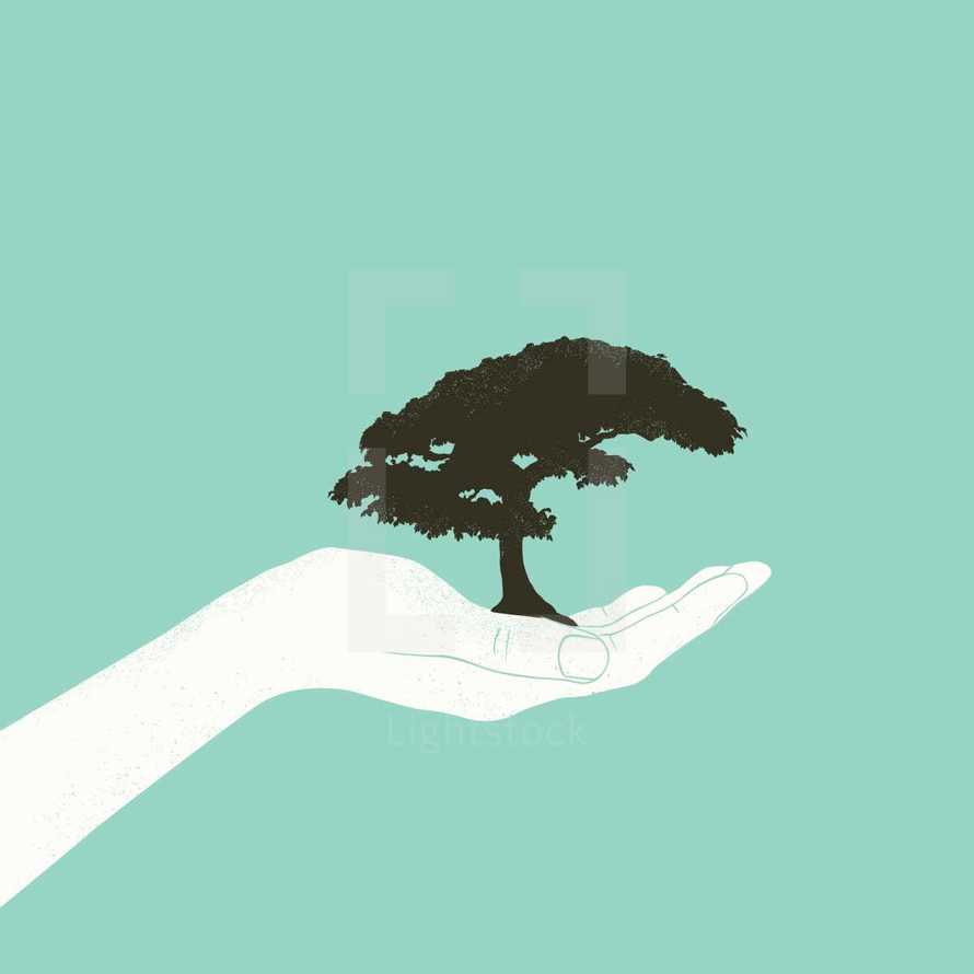 conceptual illustration of hand holding a tree.