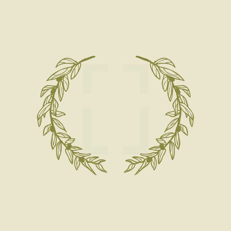 olive branches 