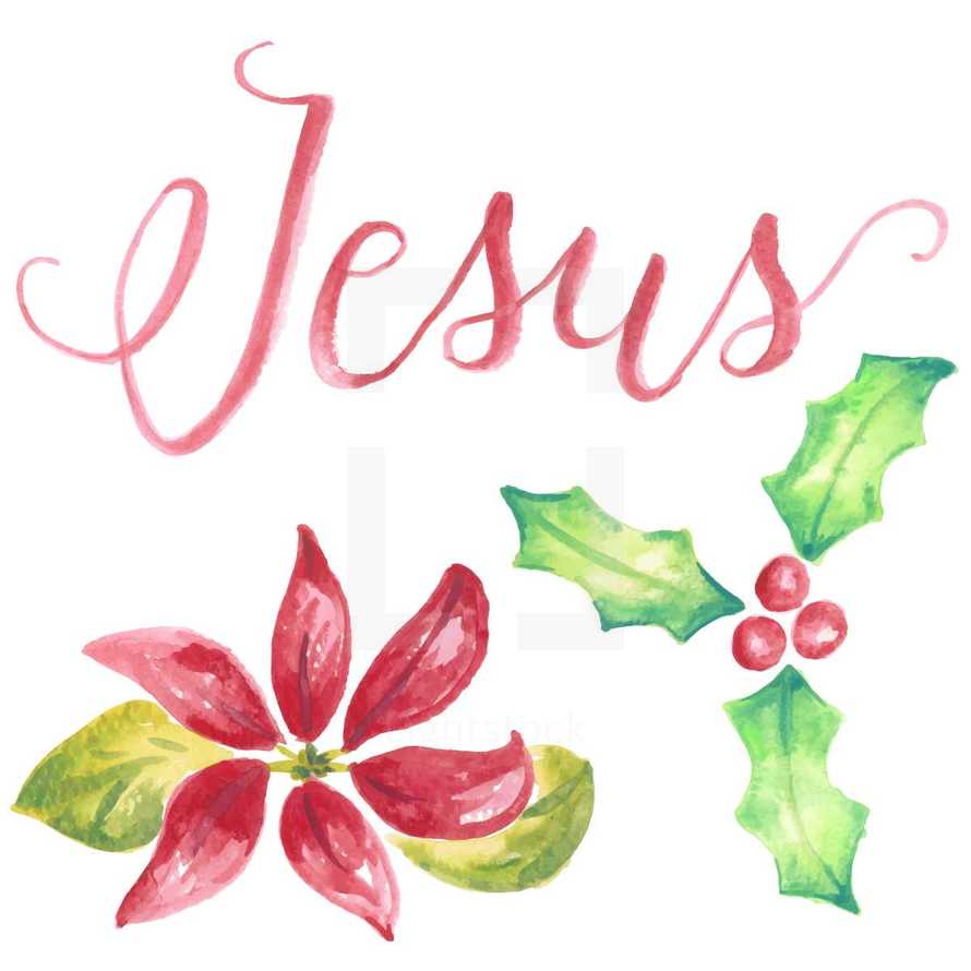 Water color Christmas hand lettering of Jesus with holly and a poinsettia flower. 